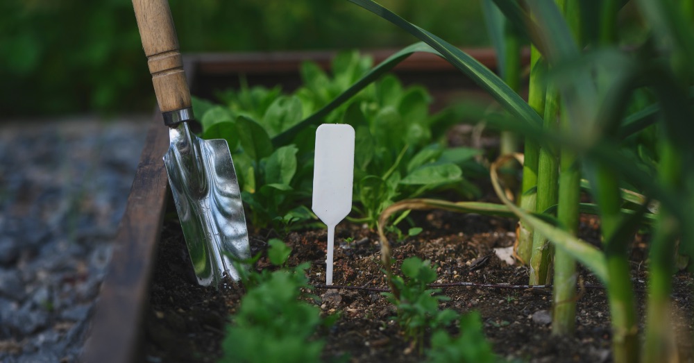 Cómo preparar el huerto para la temporada de otoño