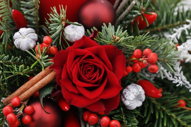 Rosa roja en arreglos florales de NavIdad