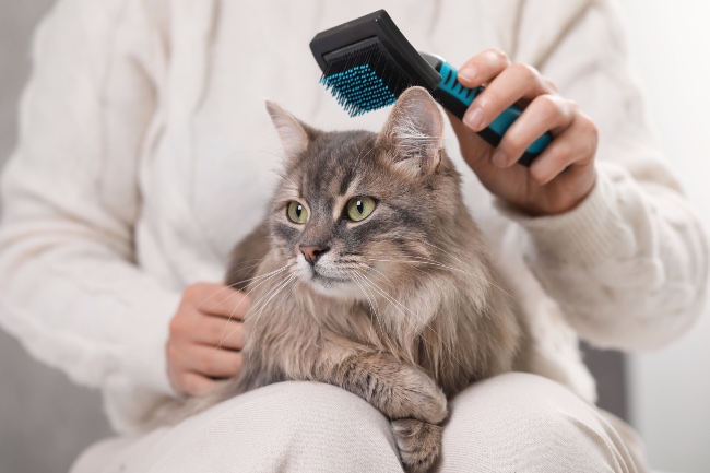 Productos de higiene para gatos
