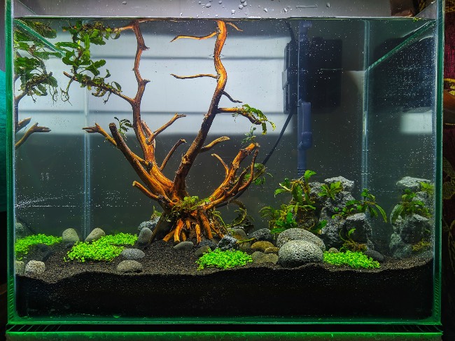 Decoración de acuario minimalista