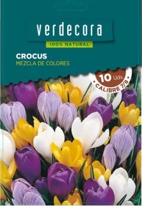 Bulbos de crocus Marca Verdecora