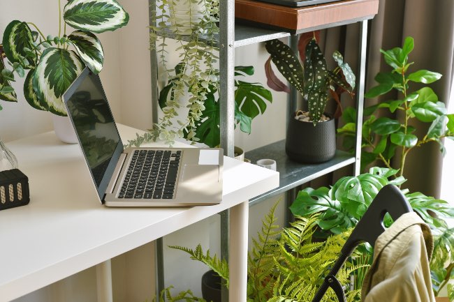 Plantas artificiales salón.