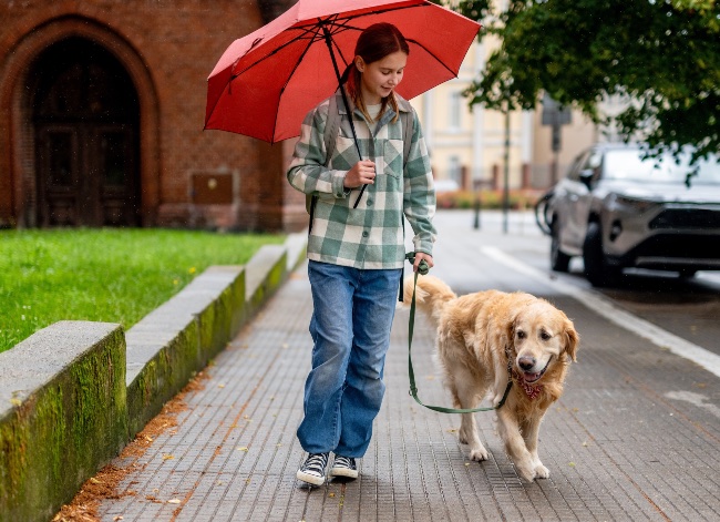 Pasear perros con lluvia