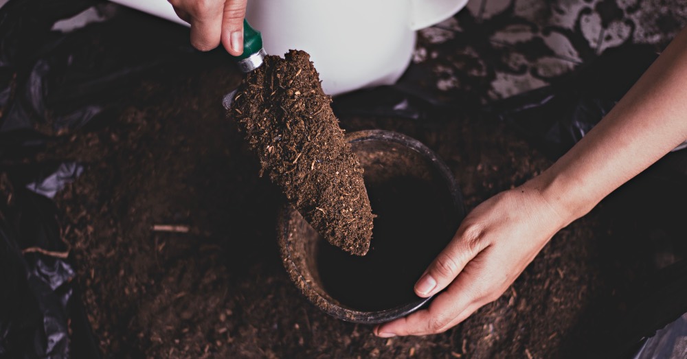 3 claves para reutilizar correctamente la tierra de tus macetas