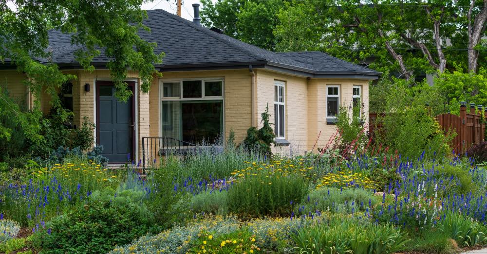 ¿Qué es la xerojardinería y qué plantas incorporar en un xerojardín?