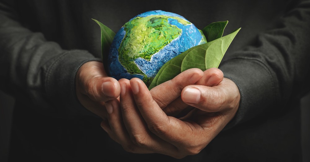 ¿Qué es el sello Green Planet en los productos de Verdecora?