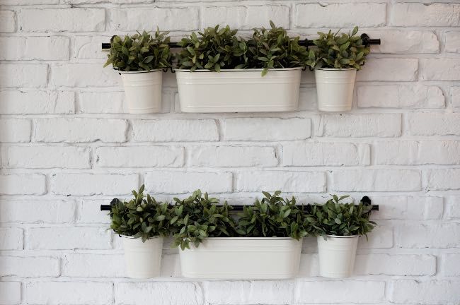 Muro verde con plantas aromáticas para la cocina