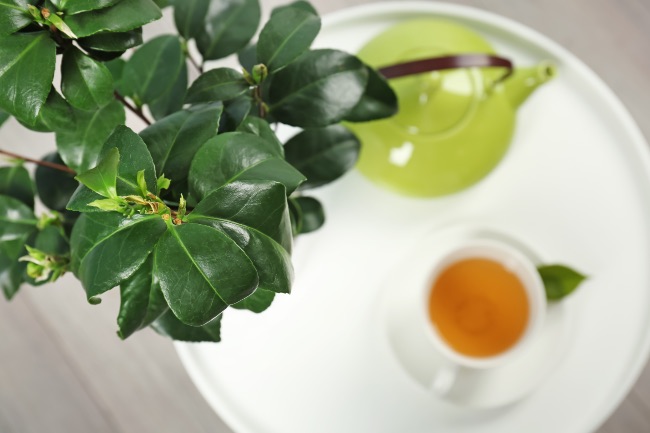 Propiedades del té de Camelia sinensis