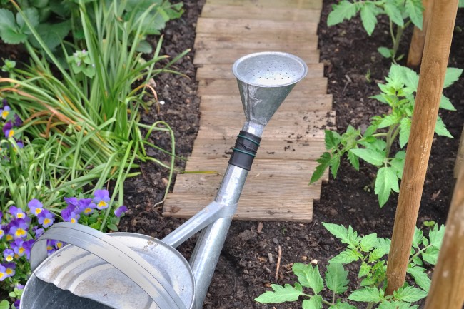 Tutores para plantas de madera