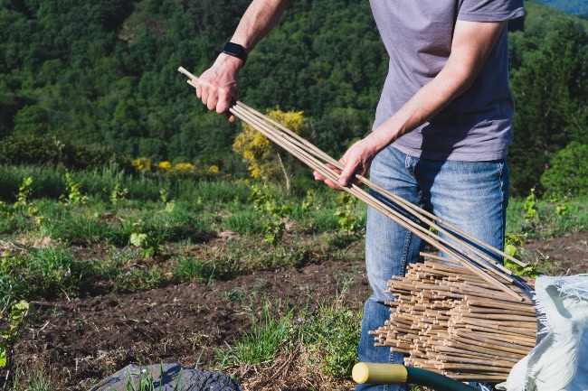 Tutores para plantas de bambú