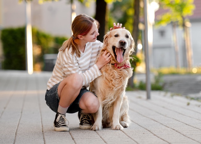 Los perros sudan por la lengua