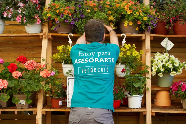 Asesoramiento como parte del proceso