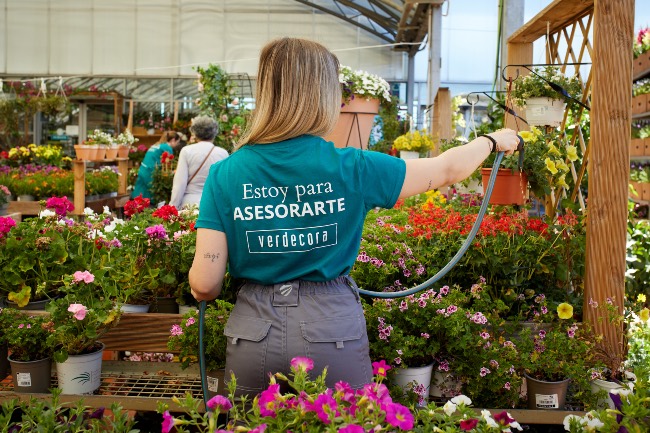Equipo de plantas Verdecora