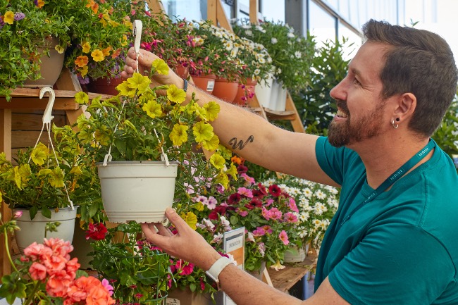 Cuidados plantas Verdecora