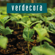 Semillas Verdecora