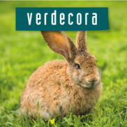 Roedores Verdecora