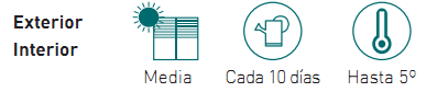 necesidades cactus asiento suegra