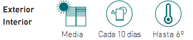 necesidades cactus hawortia