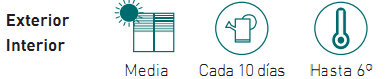 necesidades cactus injertado