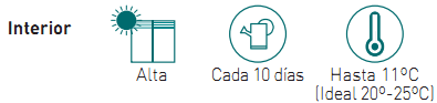 necesidades cattleya
