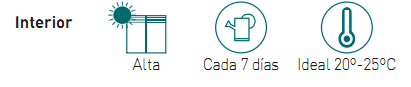 Necesidades dracena