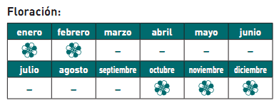 floración cambria