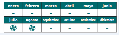 floración dracena