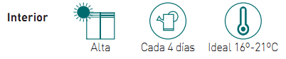 necesidades helecho