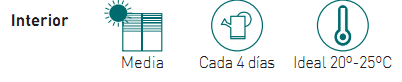 Necesidades Kentia