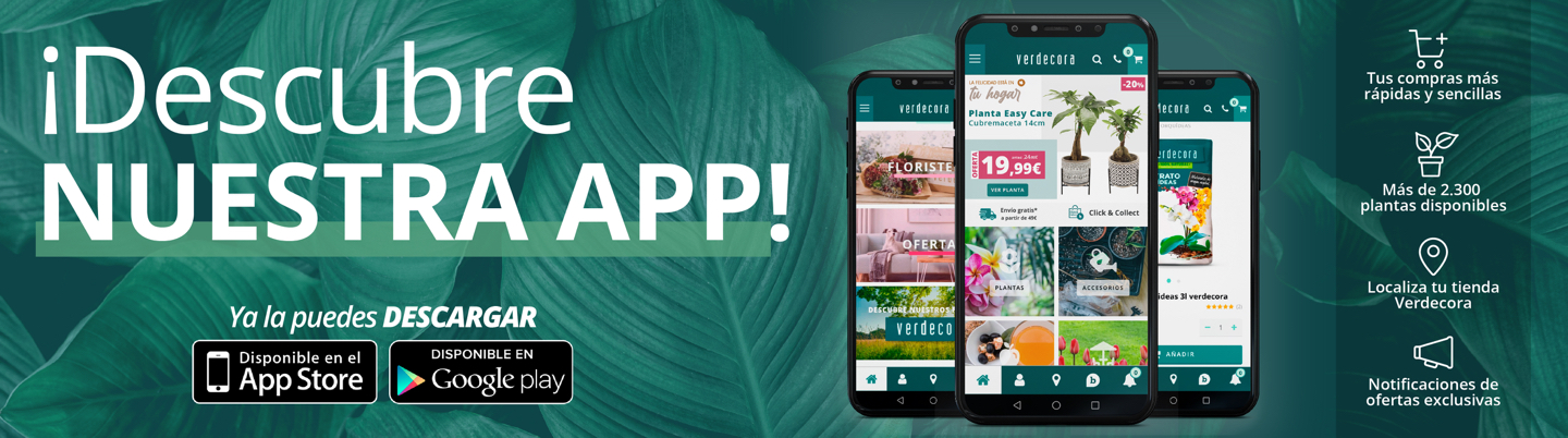 descubre nuestra app
