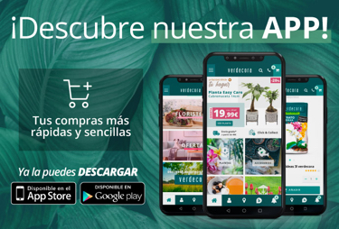 descubre nuestra app