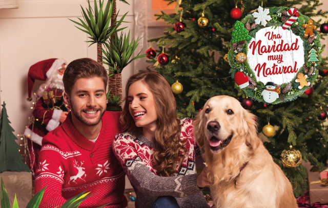 Navidad Verdecora 2019