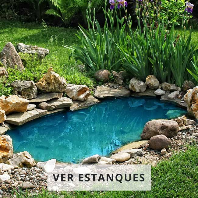  Estanques de Jardín