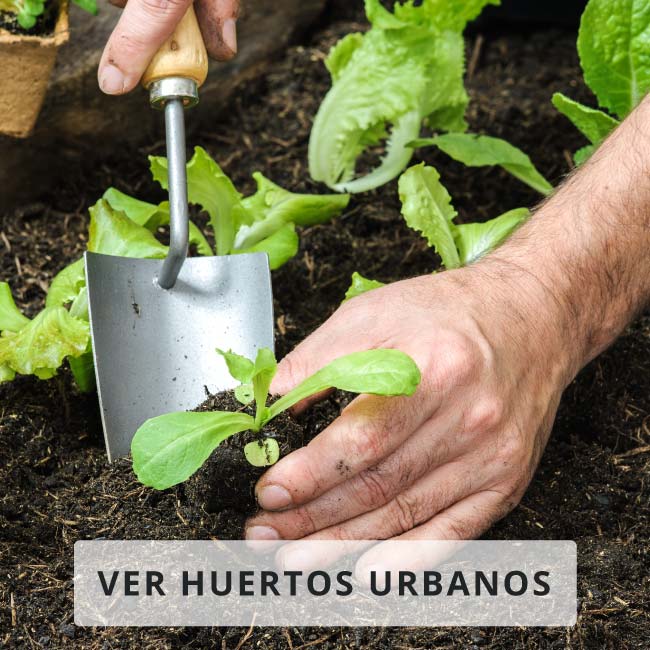 Huertos Urbanos