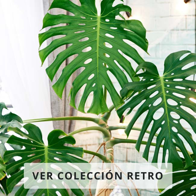 Colección Primavera Retro 2020