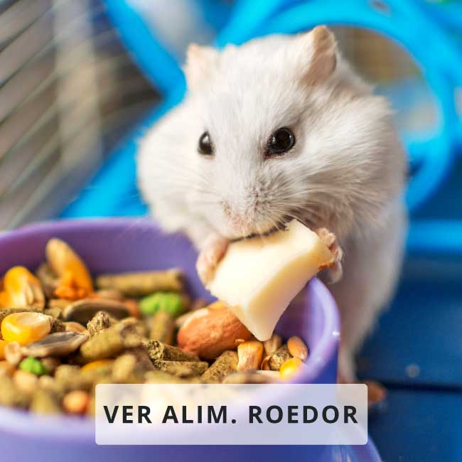 Alimentacion Roedores