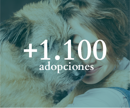 Futuro_Adopciones