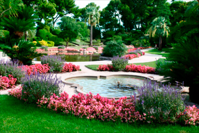 Parque