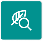 icono