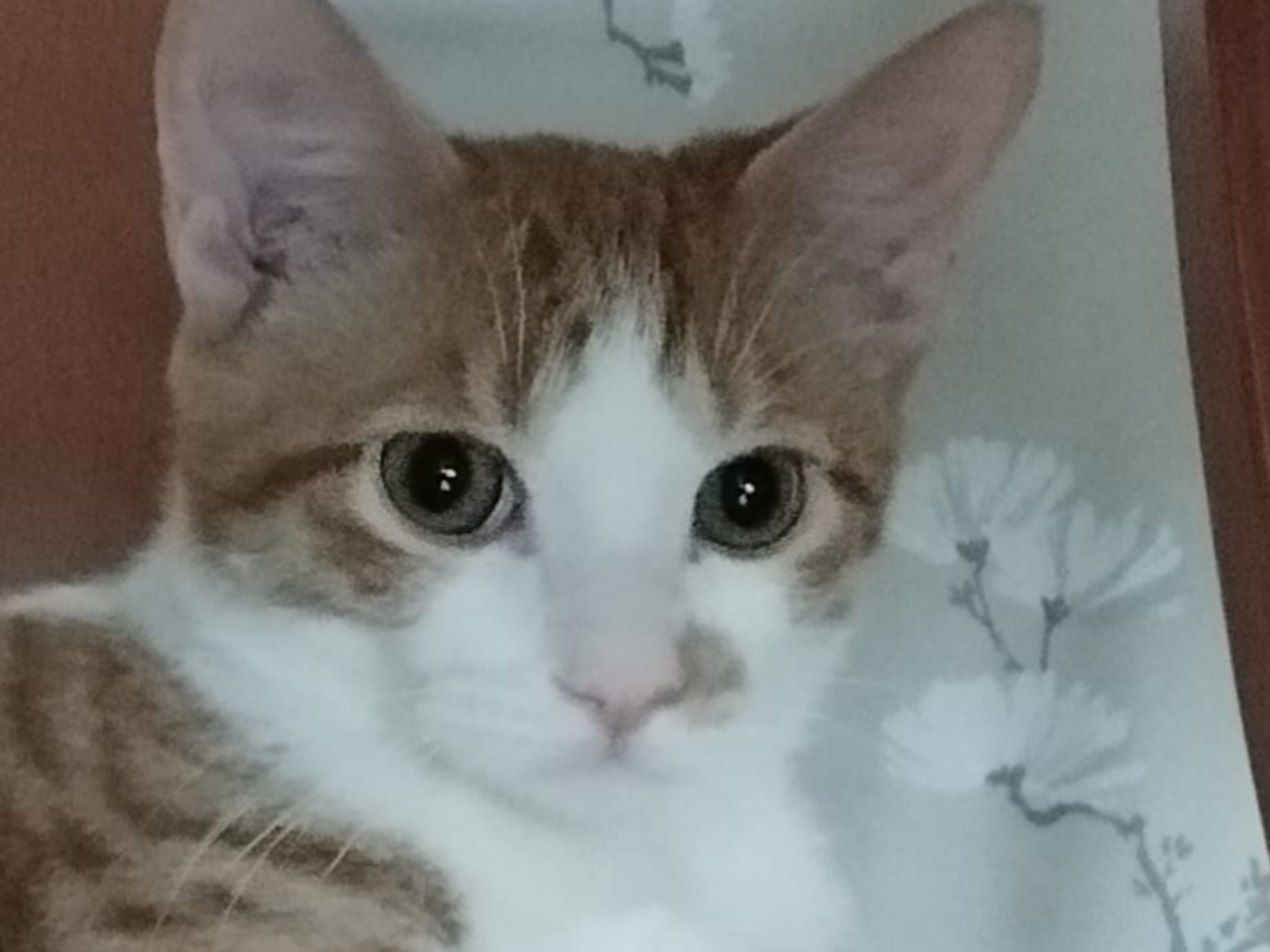 ¿Quieres echarles una pata?