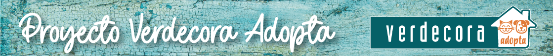 Jornadas adopci&oacute;n