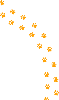 Huellas