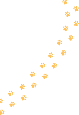 Huellas