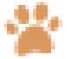 Icono pet